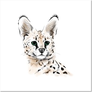 Serval watercolor ' Posters and Art